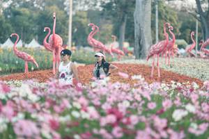 BIB: 
                            <button type="button" onclick="openModal(27343964)" class="btn btn-primary btn-sm float-right btn-popup" data-toggle="modal" data-target=".modal-high-quality">
                        <i class="fas fa-shopping-cart"></i> Add to Cart
                    </button>
                                            <button type="button" onclick="isThisMe(27343964, true)" class="btn btn-success btn-sm float-right btn-popup btn-isme hidden" data-toggle="tooltip" data-placement="bottom" title="นี่คือรูปของคุณใช่ไหม คลิกที่นี่เพื่อเอาเข้าอัลบั้ม">
                        <i class="fas fa-plus"></i> Add to album
                    </button>
                    <button type="button" onclick="isThisMe(27343964, false)" class="btn btn-warning btn-sm float-right btn-popup btn-isnotme hidden">
                        <i class="fas fa-ban"></i> Remove from album
                    </button>